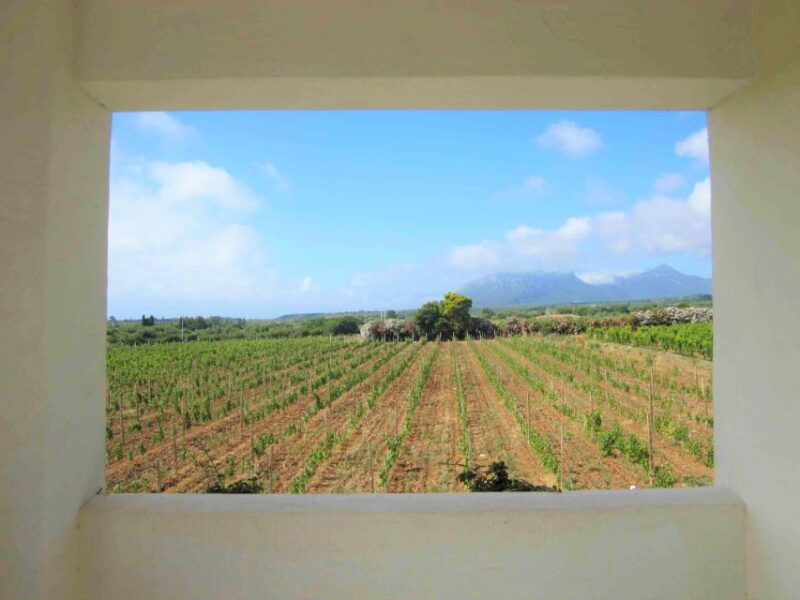 4x4 Private Tour in Orosei W/ Vineyard & Nuraghe Visit - Key Points
