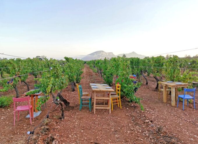 4x4 Private Tour in Orosei W/ Vineyard & Nuraghe Visit - Highlights of the Experience