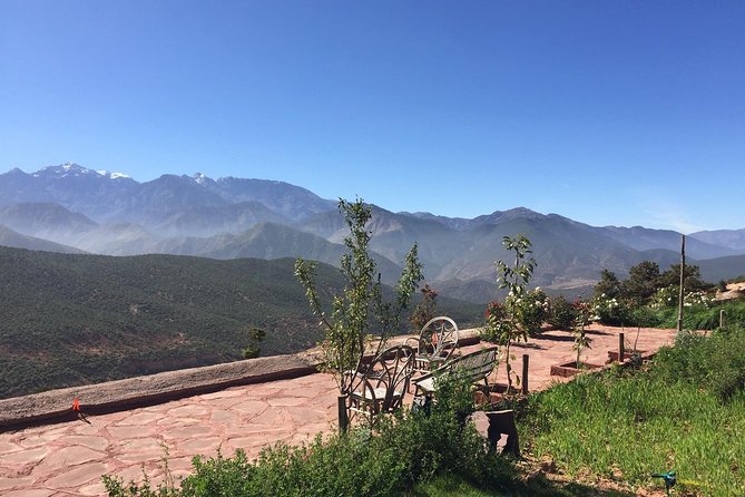 4x4 Ride in the Mountain Atlas With Lunch in a Berber House - Customer Reviews