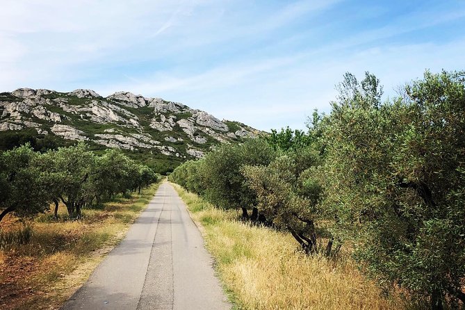 4x4 Safari - 4h Alpilles Provence - Departure From Arles - Departure and Return Location
