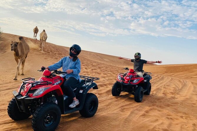 4X4 Safari Dubai Desert With Dinner and Quad Bike ATV - Live Entertainment Highlights