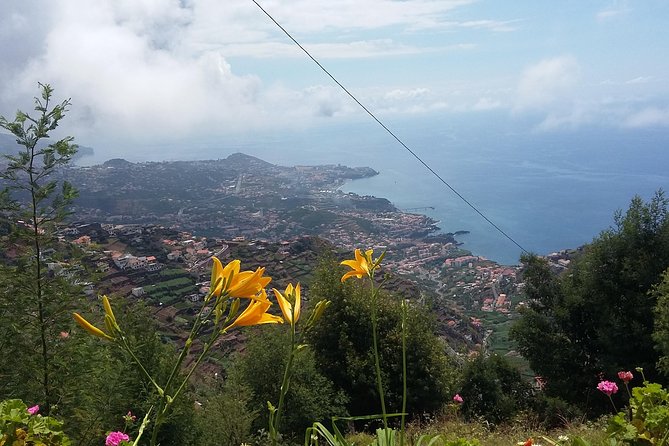 4x4 Safari Half Day Poncha, Mountains, Vineyards and Cabo Girão Small Group - Madeiras Local Culture