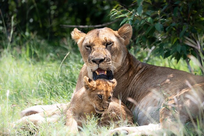 4x4 Safari in Tsavo East National Park - Key Points