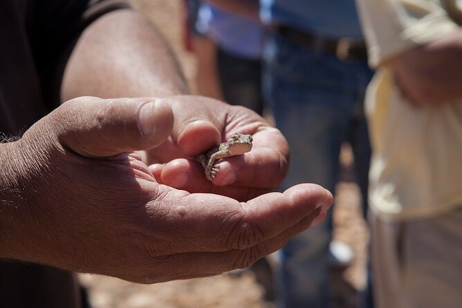 4X4 Safari: Jandía Natural Park and Cofete - Booking and Pickup