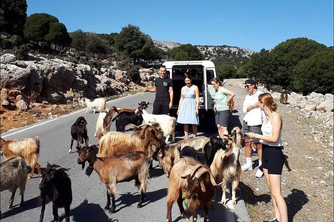 4x4 Safari Tour South Crete Agiofarago Matala - Location Highlights