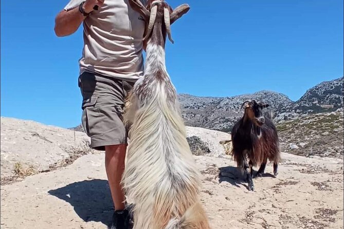 4x4 Safari Tour Southern Crete Tripitis Gorge - Exploring Tripitis Gorge