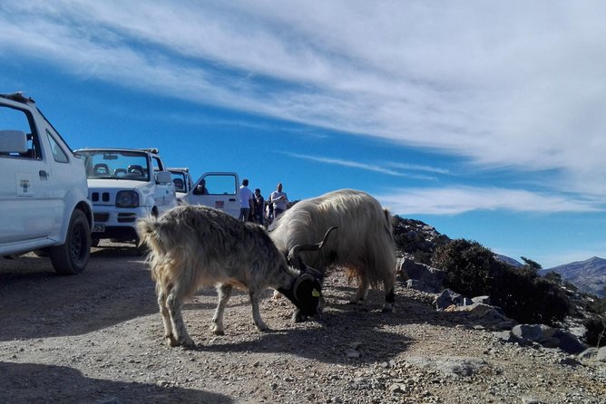 4x4 Self Drive Adventure_Cretan Mainland - Pickup Locations and Capacity