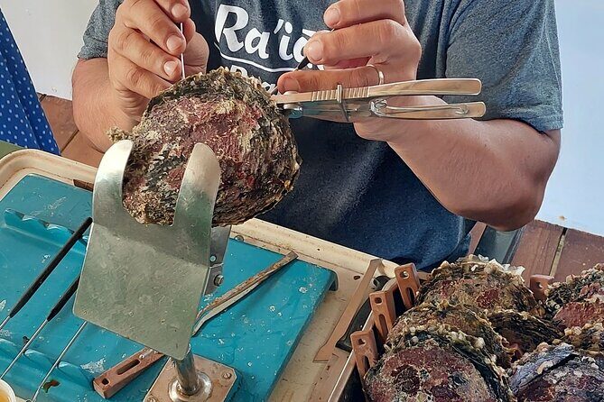 4x4 Tour Culture, Crafts and Agritourism in Raiatea - An Honest Look at the Raiatea 4x4 Experience