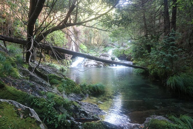4X4 Tour - Discovering Serra D'arga - Tour Pickup and Accessibility