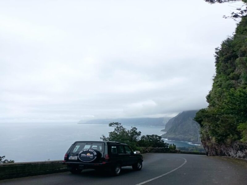 4x4 Tour Half Day Wine Tour - Experience Features