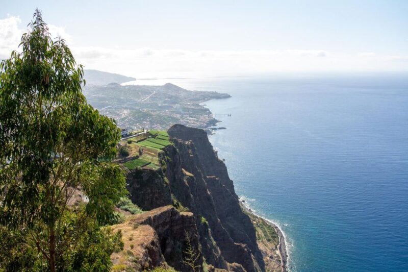 4x4 Tour Half Day Wine Tour - Duration and Pricing