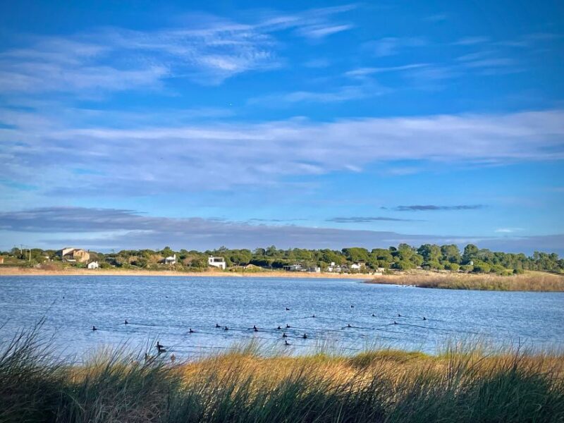 4X4 Tour of the Secret Beaches of Melides - Booking Information