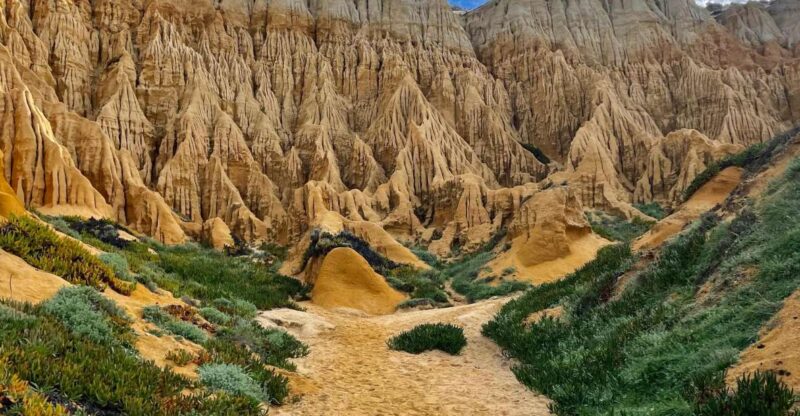 4X4 Tour of the Secret Beaches of Melides - Itinerary Highlights