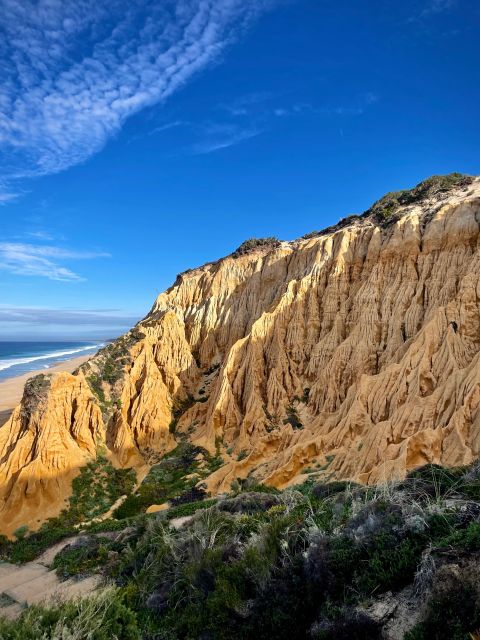 4X4 Tour of the Secret Beaches of Melides - Additional Information