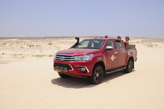 4x4 Tour - Sandboard, Shark & Green Turtles Bay, Snacks & Drinks - Knowledgeable Guides