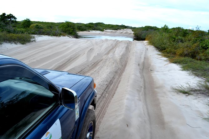 4X4 Tour to Lagoa Bonita (Large Lençóis) - Convenient Pickup and Drop-off