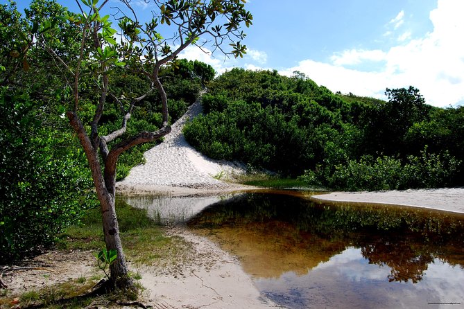 4X4 Tour to Lagoa Bonita (Large Lençóis) - Tour Booking and Cancellation Policy