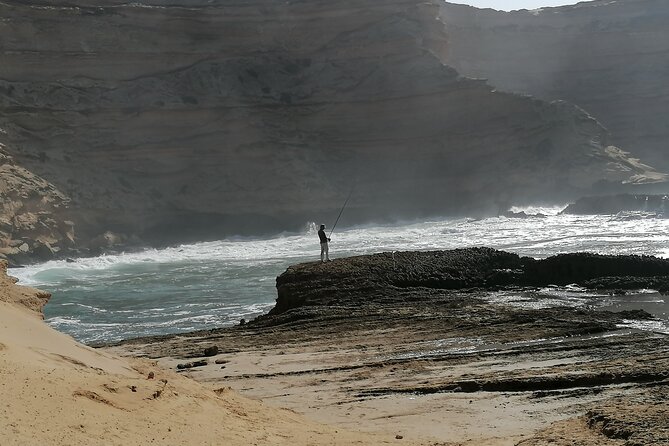 4×4 Wild Nature Private Half Day Trip - Tour Operator Information