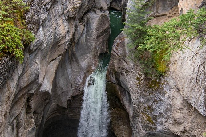 5.5-Hour Jasper Wildlife and Waterfalls Tour With Maligne Lake Cruise From Jasper - Inclusions and Highlights