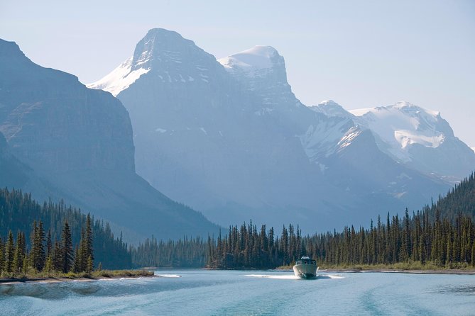 5.5-Hour Jasper Wildlife and Waterfalls Tour With Maligne Lake Cruise From Jasper - Booking and Availability