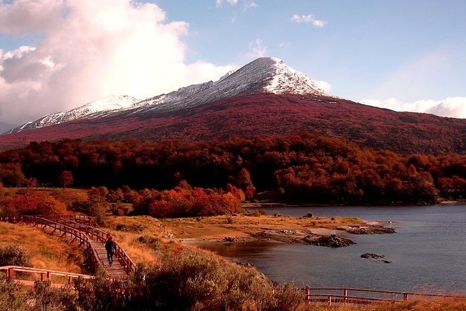 5.5-Hour Nat Park W/ Hiking *Shore Excursion* USHUAIA (Shared Tour for Cruises) - Preparation and Requirements