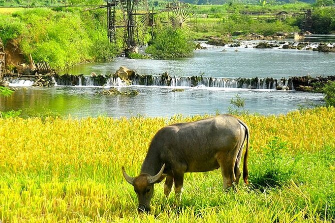 5, 6, 7 Day Vietnam Itinerary | Charming |  Northern Packages - Accommodation and Cruise