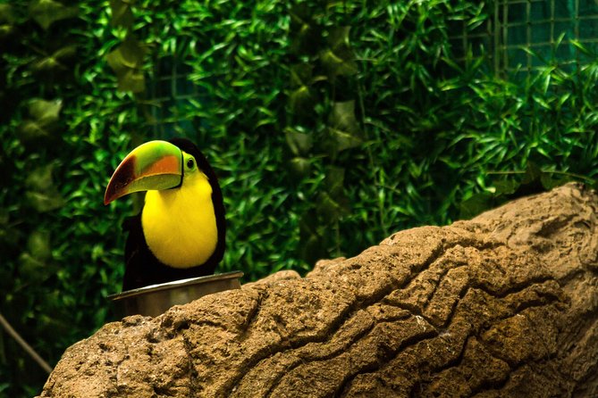 5 Attractive With Aquarium And Mandinga Included (in Veracruz) - Meeting Point and Logistics