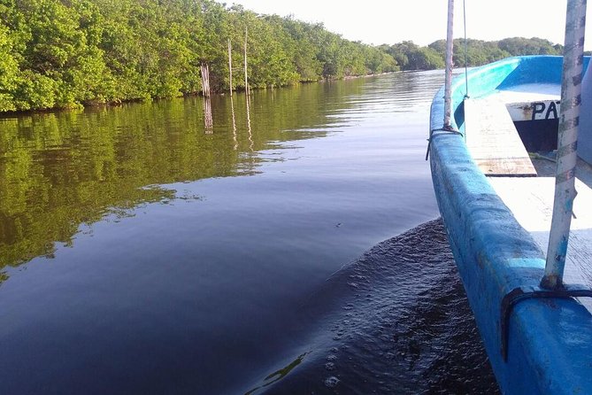 5 Attractive With Aquarium And Mandinga Included (in Veracruz) - Frequently Asked Questions