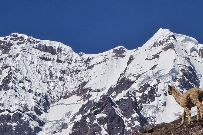 5-Day 4-Night Ausangate Trek From Cusco, Peru - Accessibility and Stroller Options