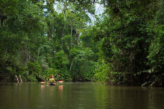 5-Day All Inclusive Cuyabeno Amazon Adventure With Accommodation in Eco Lodge - Key Points