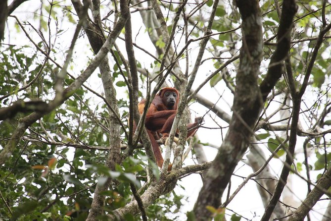 5-Day All Inclusive Cuyabeno Amazon Adventure With Accommodation in Eco Lodge - Destinations and Activities