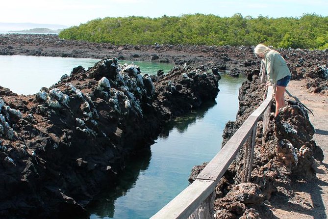 5-Day All-Inclusive Galapagos: Isabela and Santa Cruz Island - Traveler Reviews
