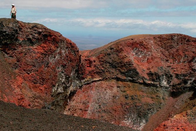 5-Day All-Inclusive Galapagos: Isabela and Santa Cruz Island - Cancellation Policy
