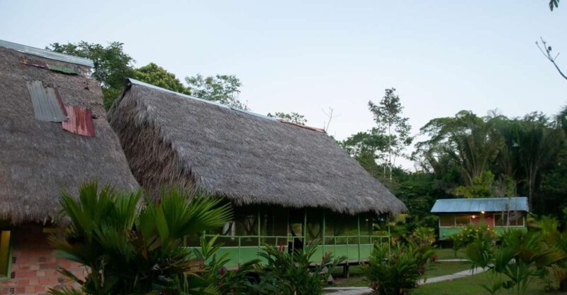 5-Day All Inclusive Guided Jungle Tour From Iquitos - Key Points