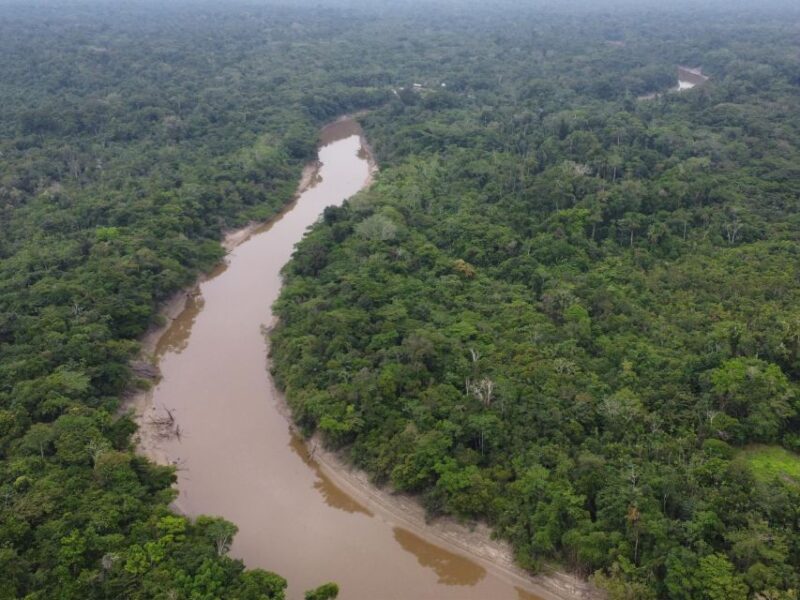 5-Day All Inclusive Pacaya Samiria Reserve From Iquitos - Key Points