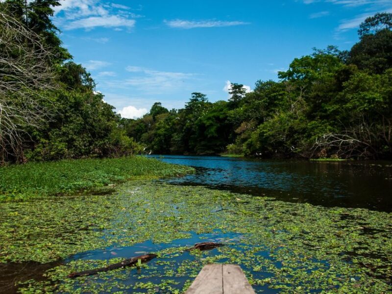 5-Day All Inclusive Pacaya Samiria Reserve From Iquitos - Itinerary Summary