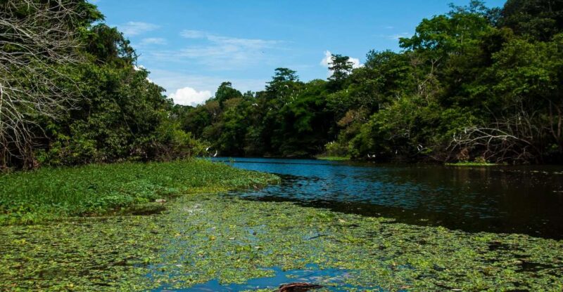 5-Day All Inclusive Pacaya Samiria Reserve From Iquitos - Included Amenities