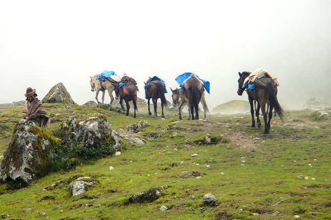 5-Day All-Inclusive Salkantay Trek To Machu Picchu - Additional Trek Information