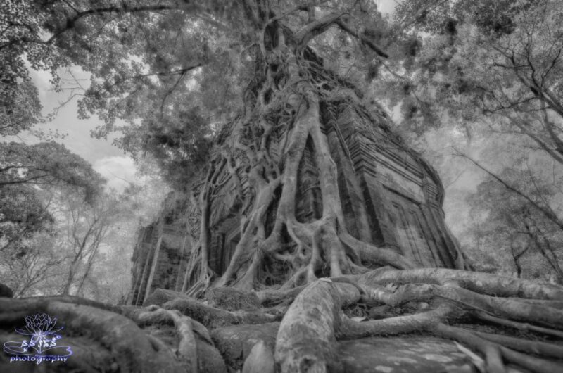 5-Day All Must-See Attractions in Siem Reap - Itinerary Highlights