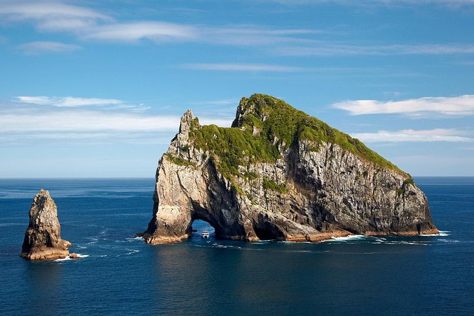5-Day Bay of Islands Rotorua Waitomo Caves and Hobbiton Tour From Auckland - Traveler Feedback and Considerations