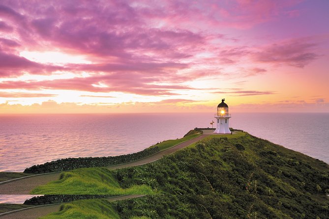 5-Day Bay of Islands Rotorua Waitomo Caves and Hobbiton Tour From Auckland - Destination Highlights