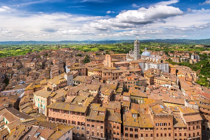 5-Day Best of Italy Trip With Assisi, Siena, Florence, Venice and More - Highlights