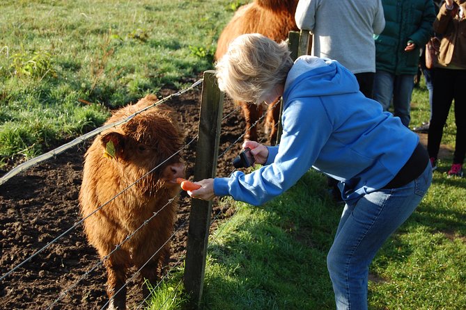 5-Day Best of Scotland Tour From Edinburgh - Accommodation and Meals