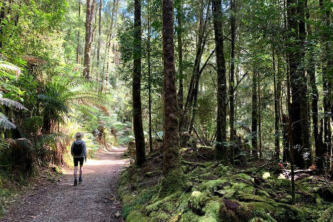 5-Day Best of Tasmania Tour From Hobart - Inclusions and Exclusions