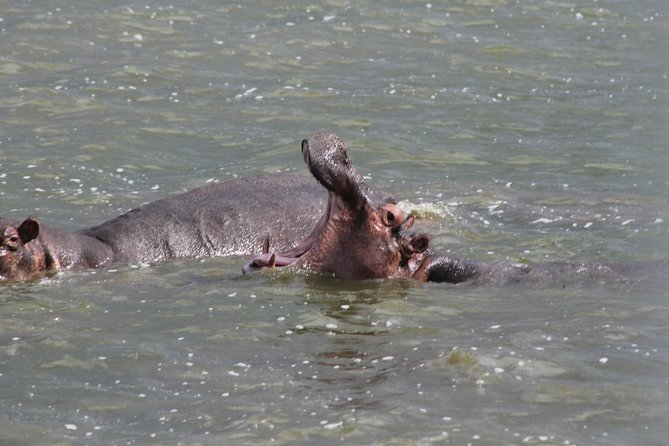 5-Day Big 5 Kidepo Valley National Park Safari - Highlights