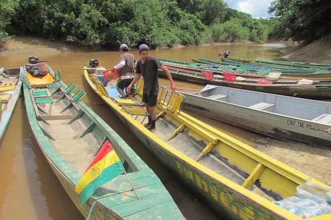 5-Day Bolivian Amazon Pampas Adventure From La Paz - Taking in Bolivian Cultural Traditions