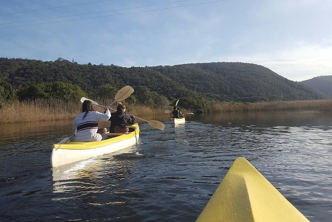 5 Day Cape to Addo Safari - Garden Route Small Group Tour - Treetop Zipline