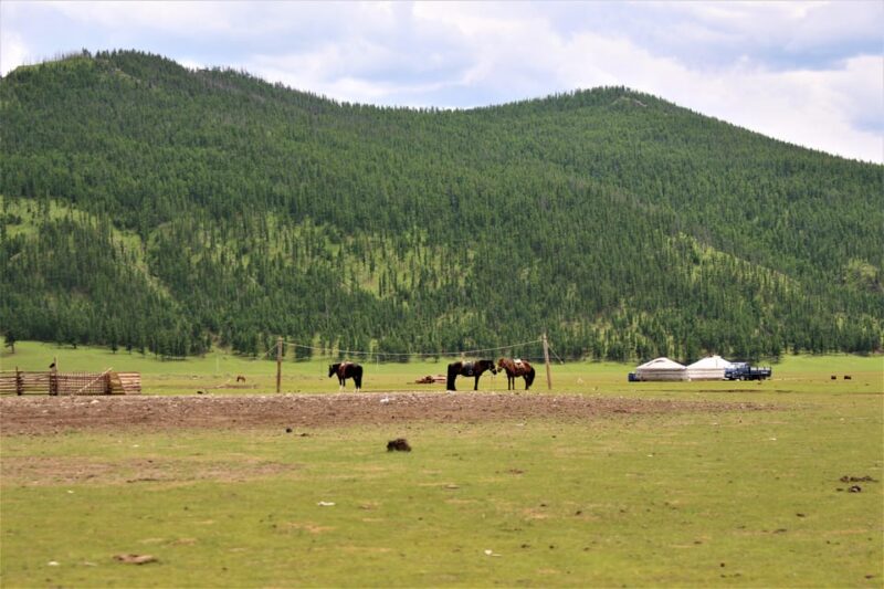 5 Day Central Mongolia and Nomad Stay Tour - Important Information
