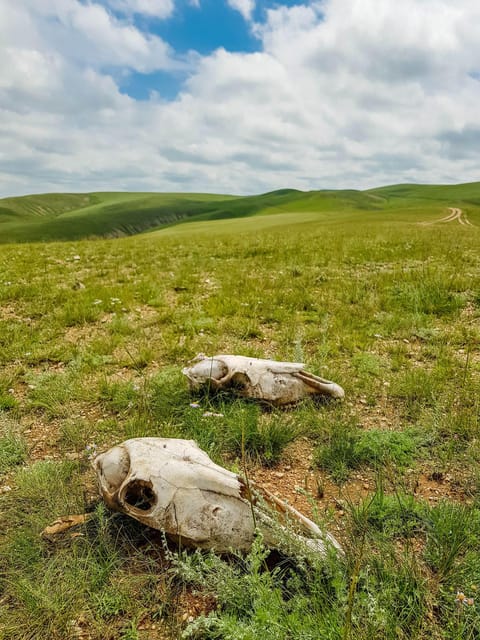 5 Day Central Mongolia and Nomad Stay Tour - Khar Khorum