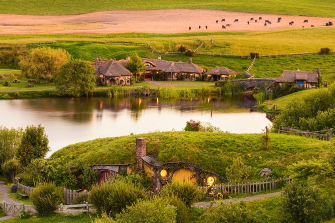 5 Day Coromandel Explorer From Auckland (Must Be 21 for Car Rental) - Accommodation and Overnight Stays